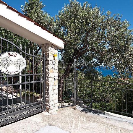 Bed and Breakfast Tra Gli Ulivi à Pietra Ligure Extérieur photo