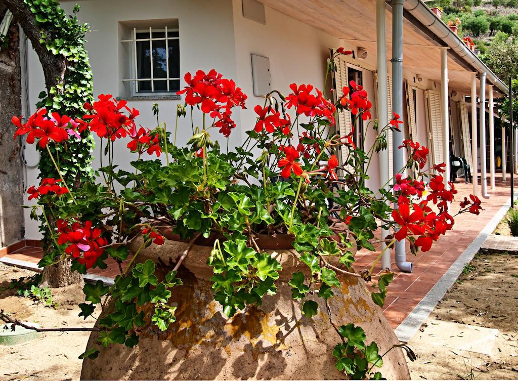 Bed and Breakfast Tra Gli Ulivi à Pietra Ligure Extérieur photo